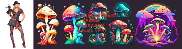 spice Абдулино